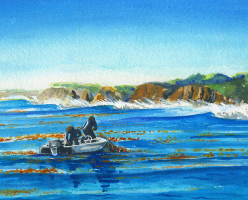 Offshores